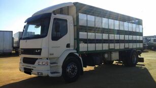 camion trasporto bestiame DAF LF55 250