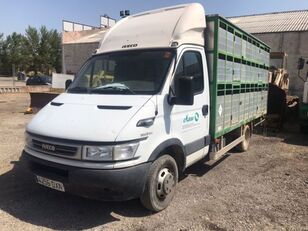camion trasporto bestiame IVECO 50C17
