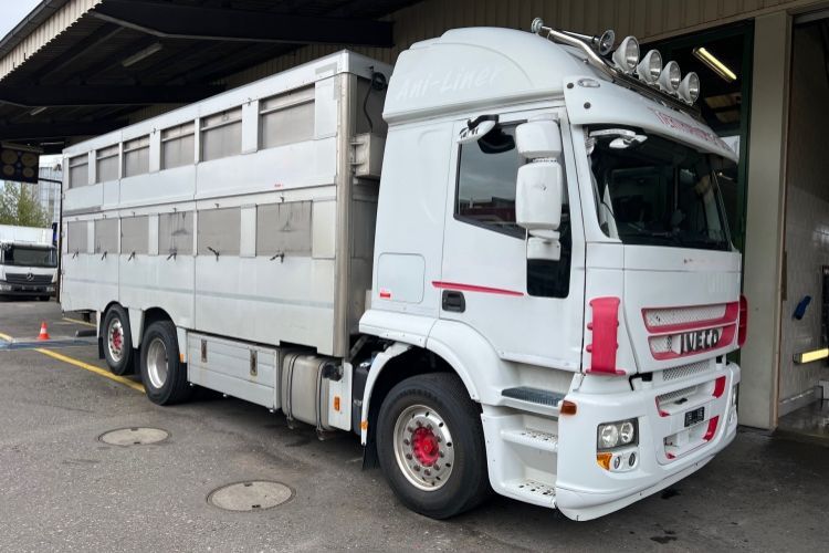 Camion Trasporto Bestiame IVECO Stralis 260S45 6x2 Állatszállító In ...