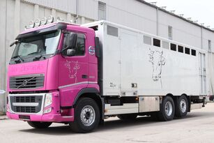 camion trasporto bestiame VOLVO FH13.500 6x2 Marhaszállító