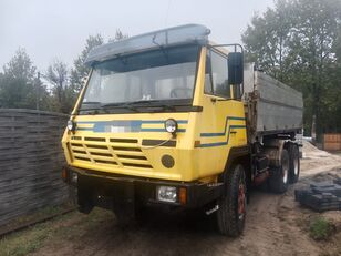 camion ribaltabile Steyr 26S32