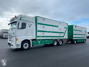 camion trasporto bestiame Mercedes-Benz Actros 2563 + rimorchio trasporto bestiame