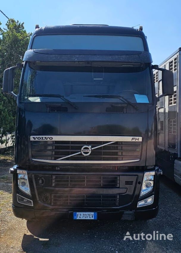 camion trasporto bestiame Volvo FH 500