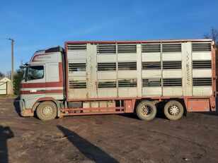 camion trasporto bestiame Volvo FH12