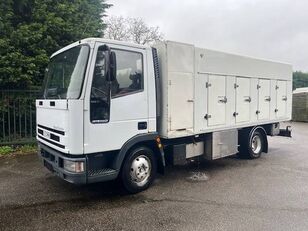 camion trasporto gelati IVECO 80 E 140