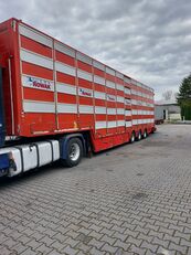 semirimorchio trasporto bestiame Pezzaioli SBA31 5 poziomów